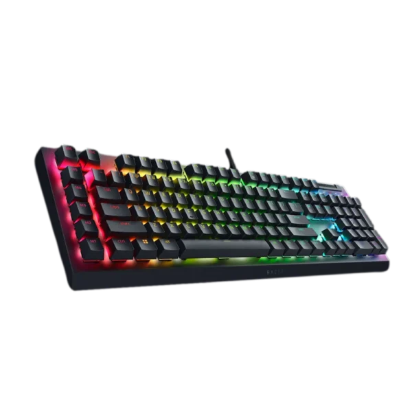 RAZER BLACKWIDOW V4 X